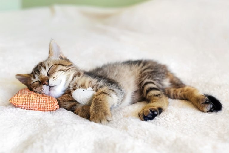 Отдыхать не работать!