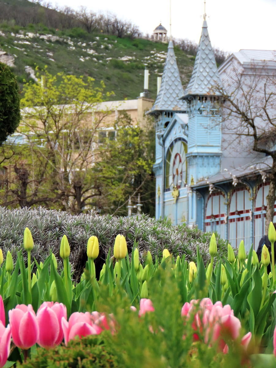 Фестиваль тюльпанов в парке Цветник (апрель 2025 года)