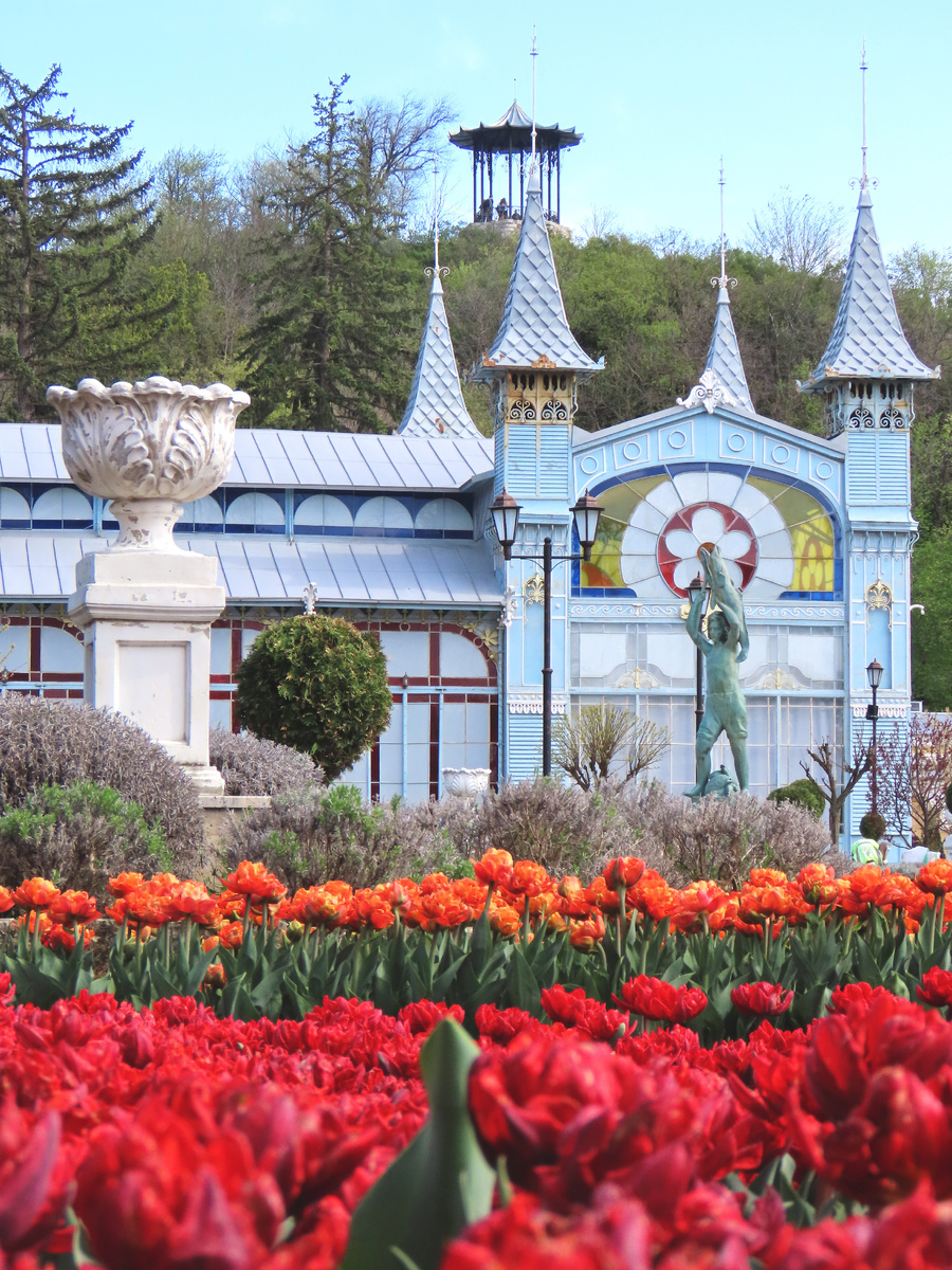 Фестиваль тюльпанов в парке Цветник (апрель 2025 года)