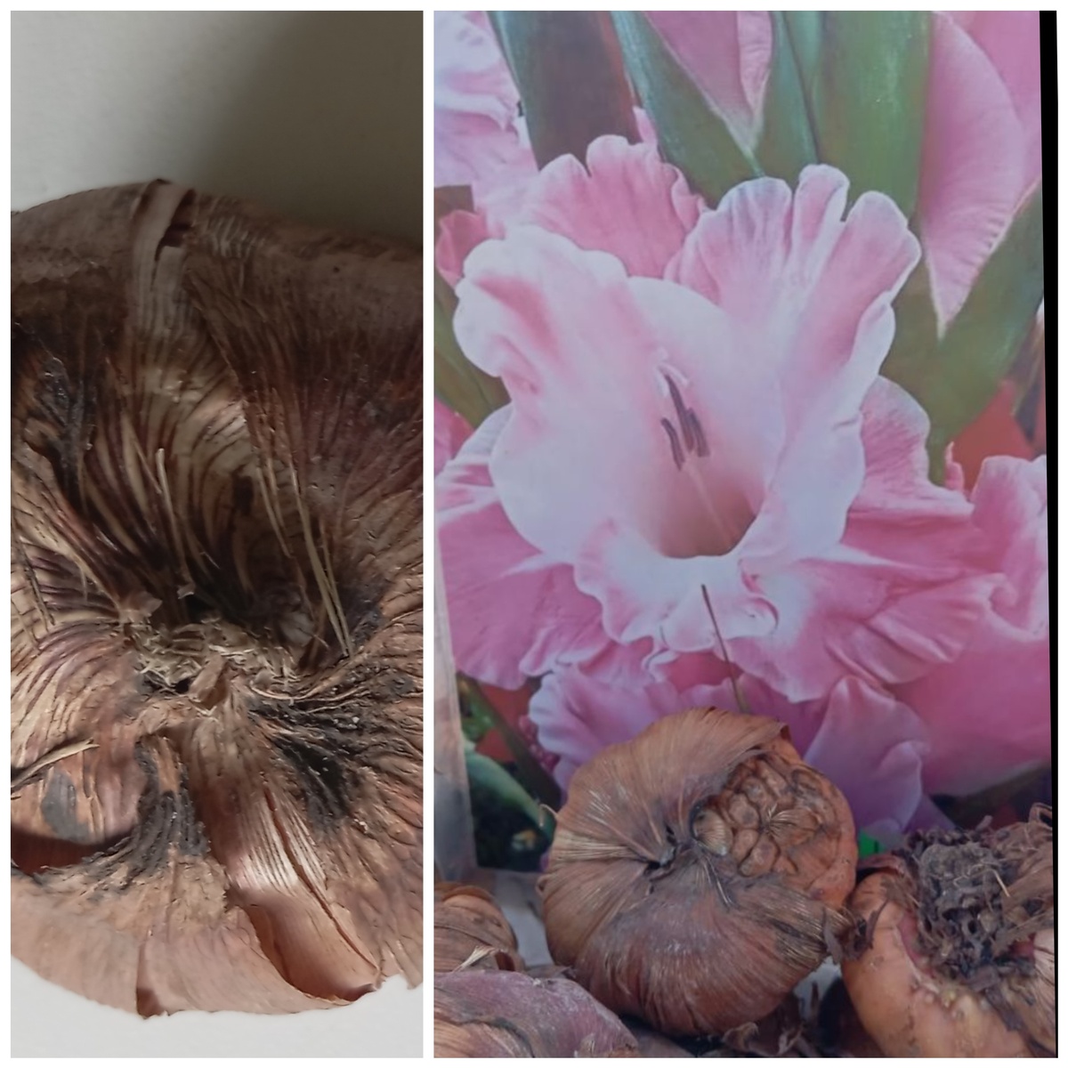 Тоже без названия.