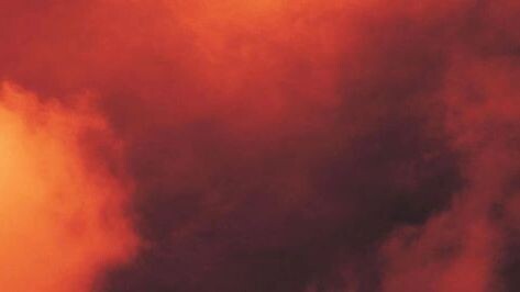    Фото: kikk/Shutterstock/Fotodom