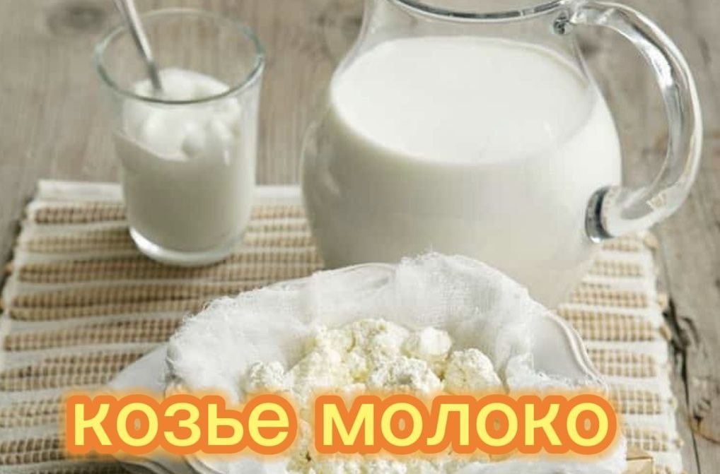 молоко и творог с фермы 