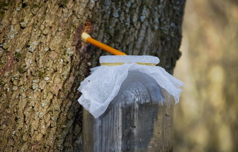    Shutterstock/FOTODOM