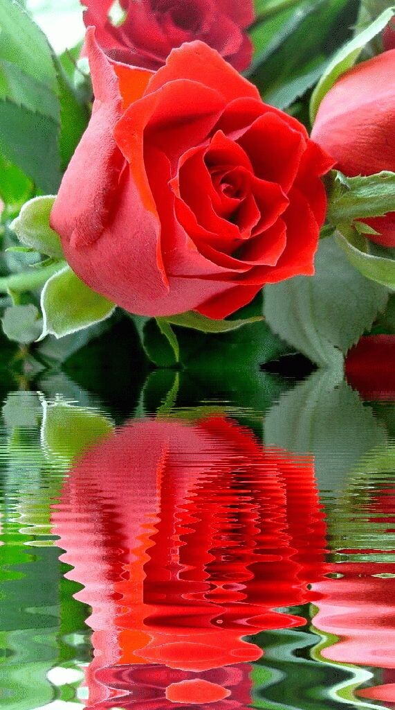 Для Вас...девчонки..