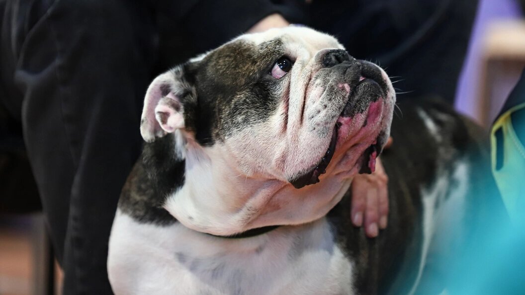    фото: Razmik Zackaryan/URA.RU