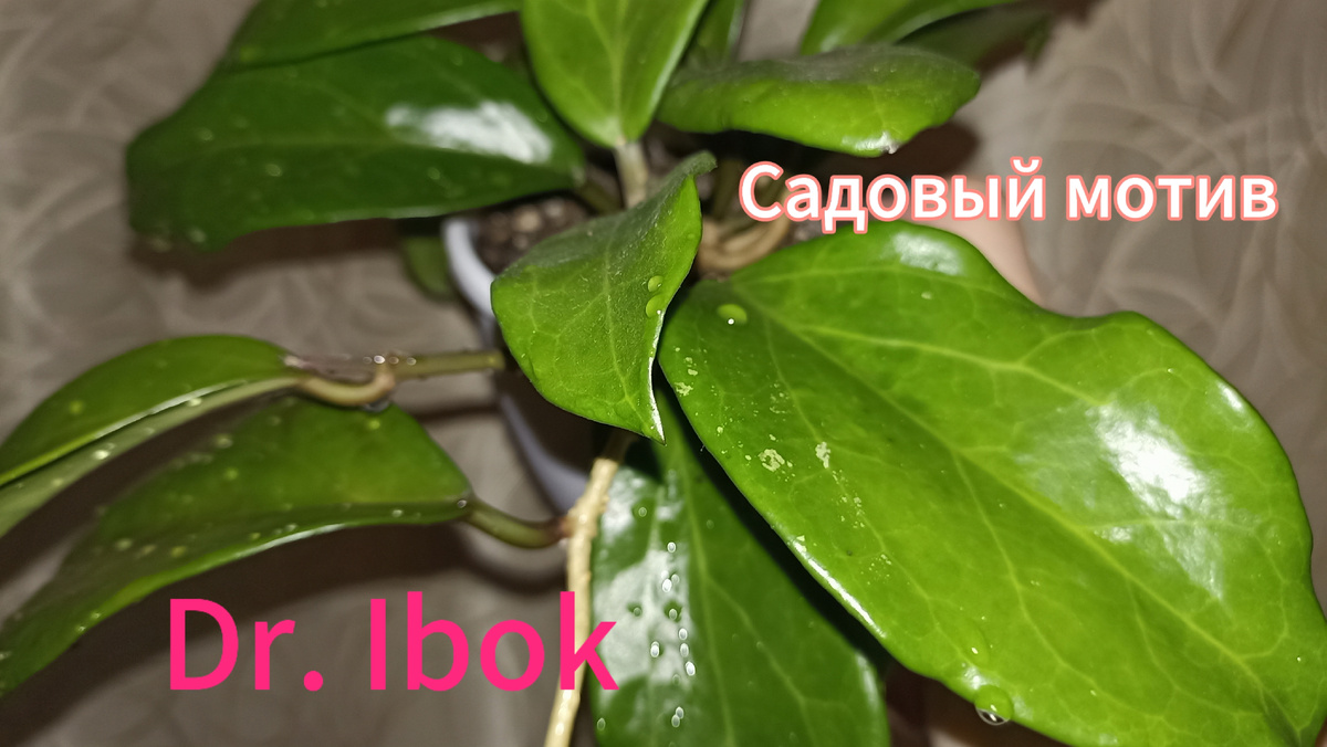 Невероятно красивая.