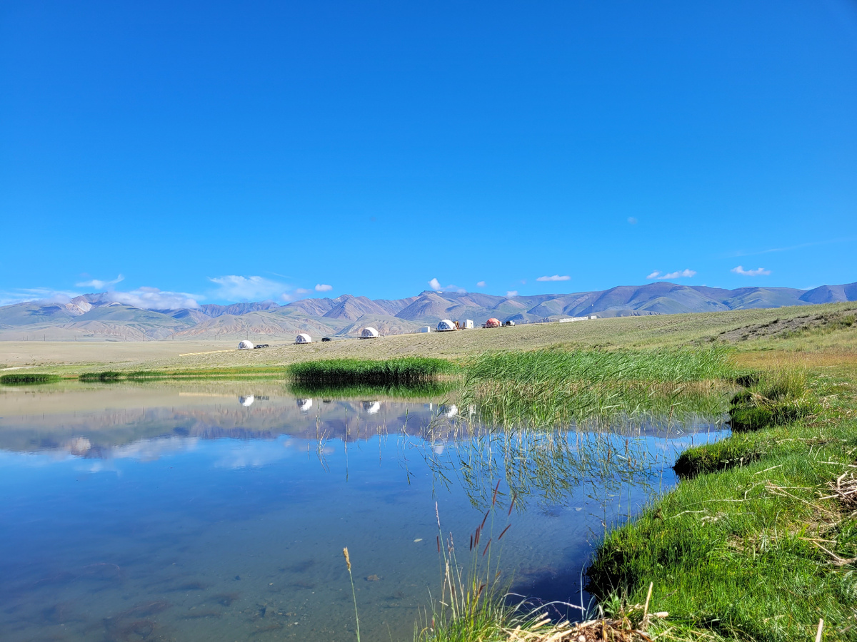 Авторские туры на Алтай проживание в глэмпинге