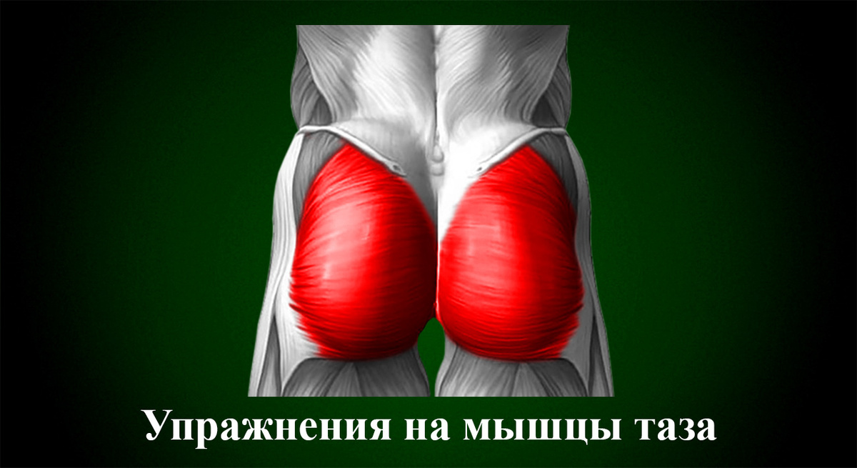 Упражнения на мышцы таза