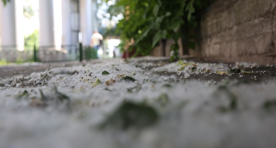    Медиасток.рф