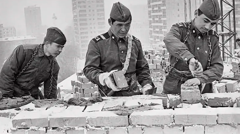 фото из интернета.