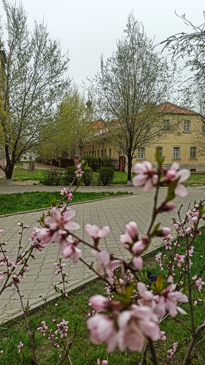 Музей Старая Сарепта