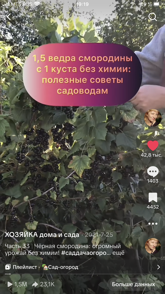 Скрин 18 апреля 2025