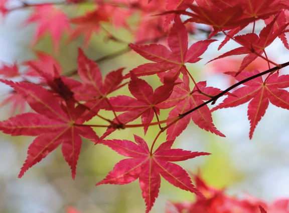 Фото Джейсон Ингрэм