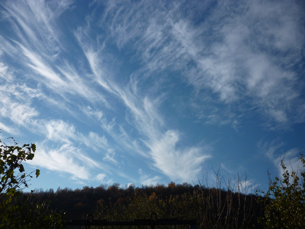 ФОТО СДЕЛАНО МНОЙ