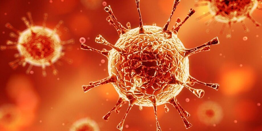 Фото: depositphotos/peshkova