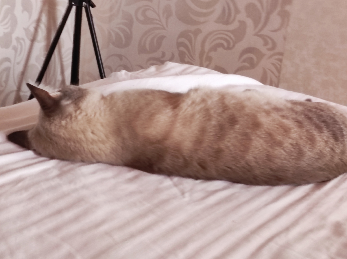 Спит на краю кровати 