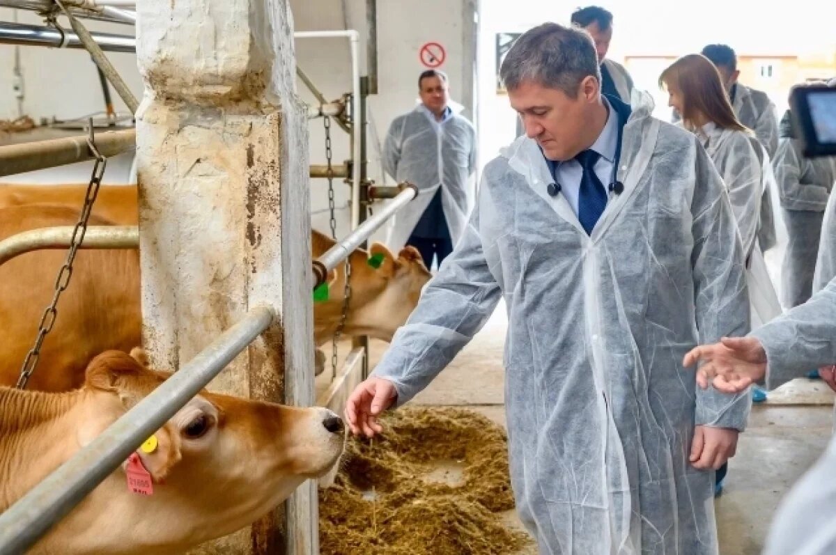    В совхозе занимаются разведением молочных коров.