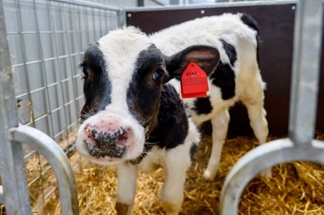    Фото: Правительство Пермского края