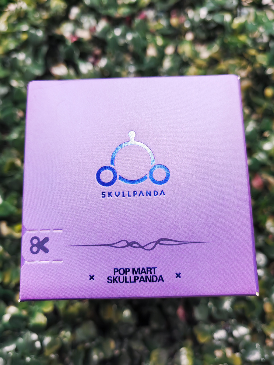 Коробка POP MART - Skullpanda The Sound