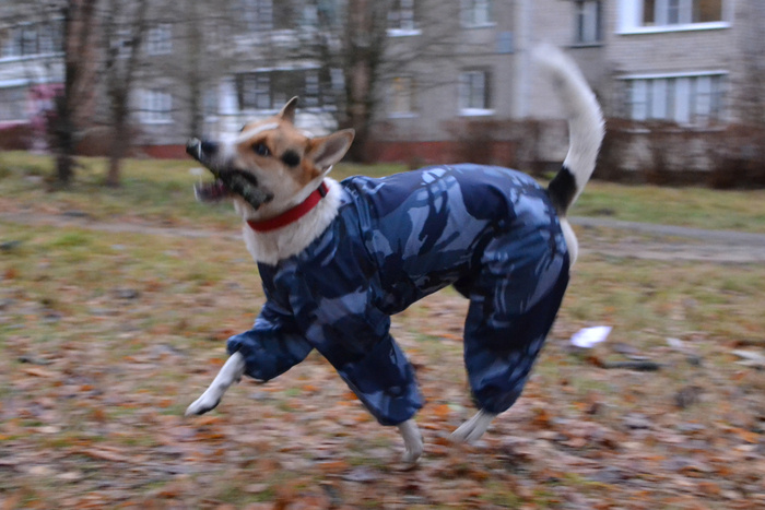 Листайте вправо, чтобы увидеть больше изображений