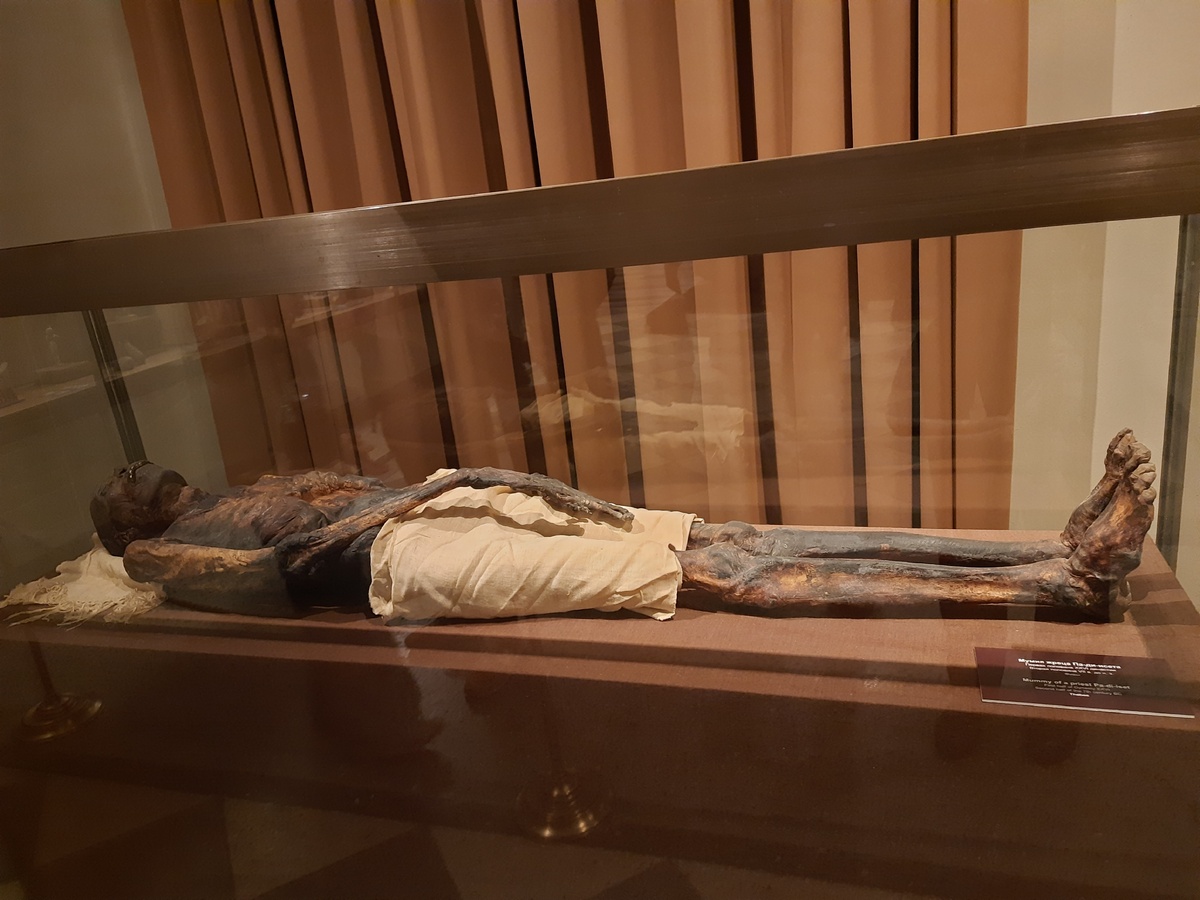 Мумия в Эрмитаже
