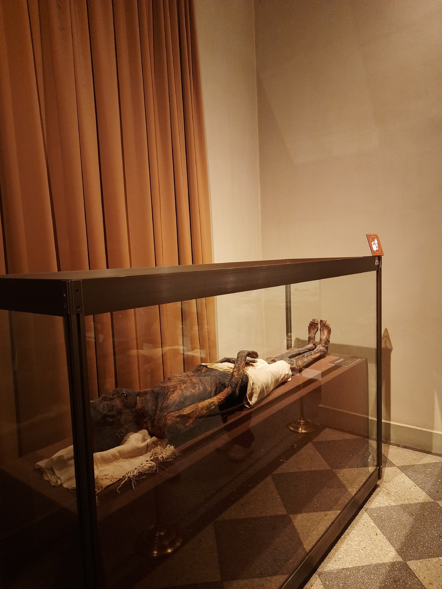 Мумия жреца Па-Ди-Иста в Эрмитаже.