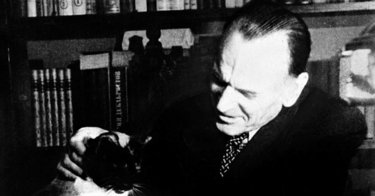 Паустовский с котом