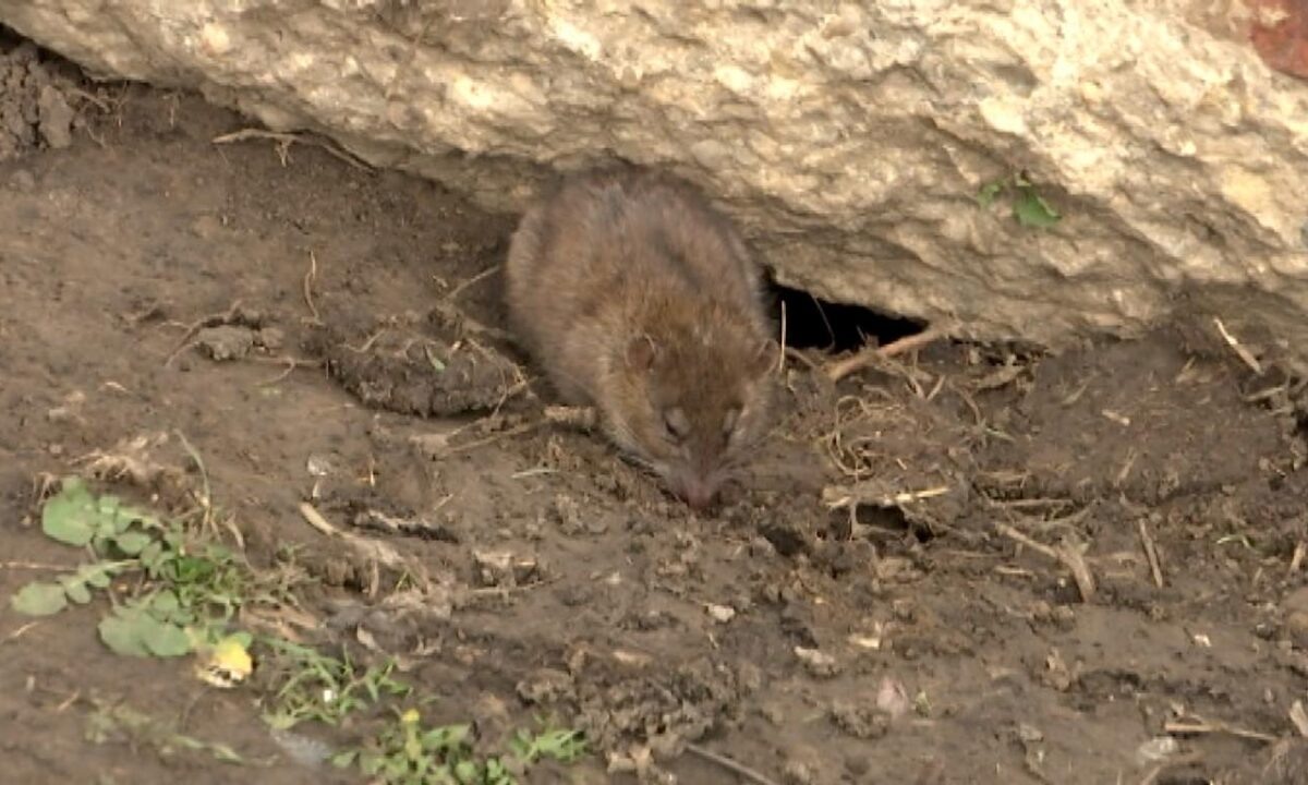    Видео канала «Кубань 24»