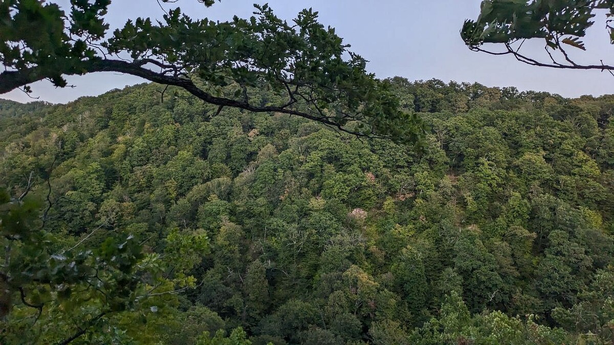    Фото: телеканал "Краснодар"