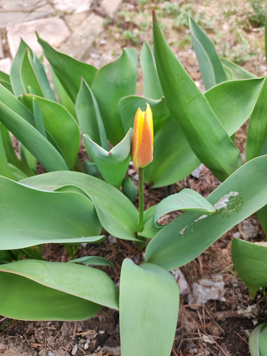 Фото автора канала