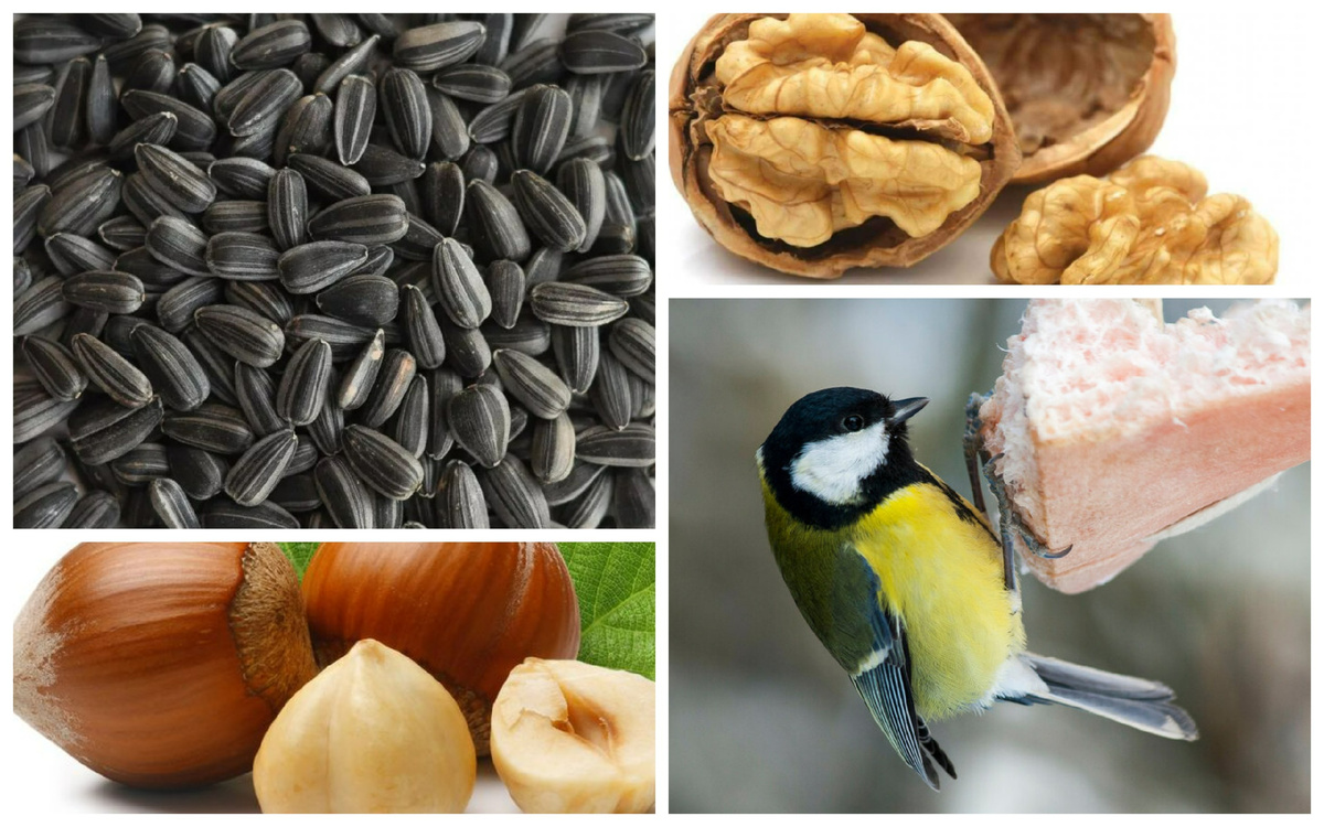 Коллаж составлен автором