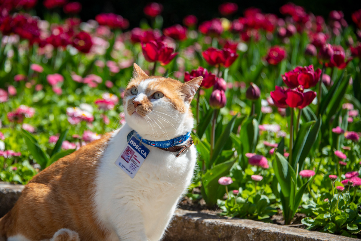 Глаза разбегаются от красоты вокруг.