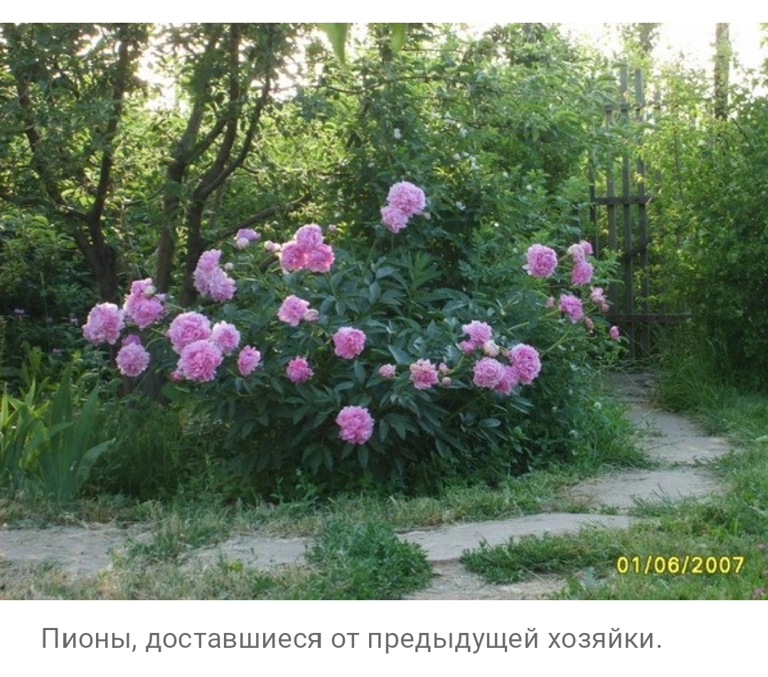 Скрин из моей статьи🔸