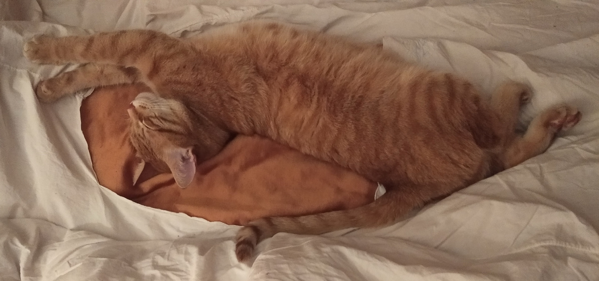 Личное фото 