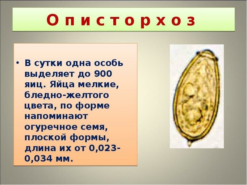 Картинка загружена с просторов интернета 