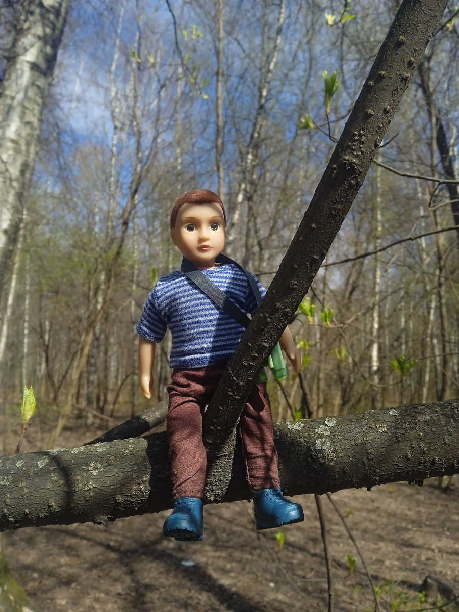 Салливан высматривает опасность. Фото автора.