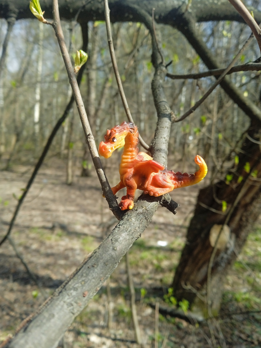 Даркон. Фото автора.