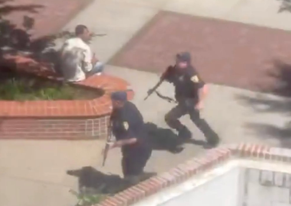     / Источник: ©X.com