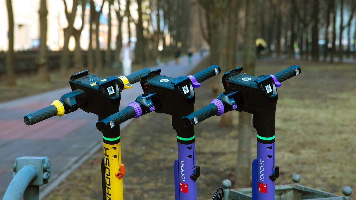 Фото: ИЗВЕСТИЯ/Юлия Храмцова