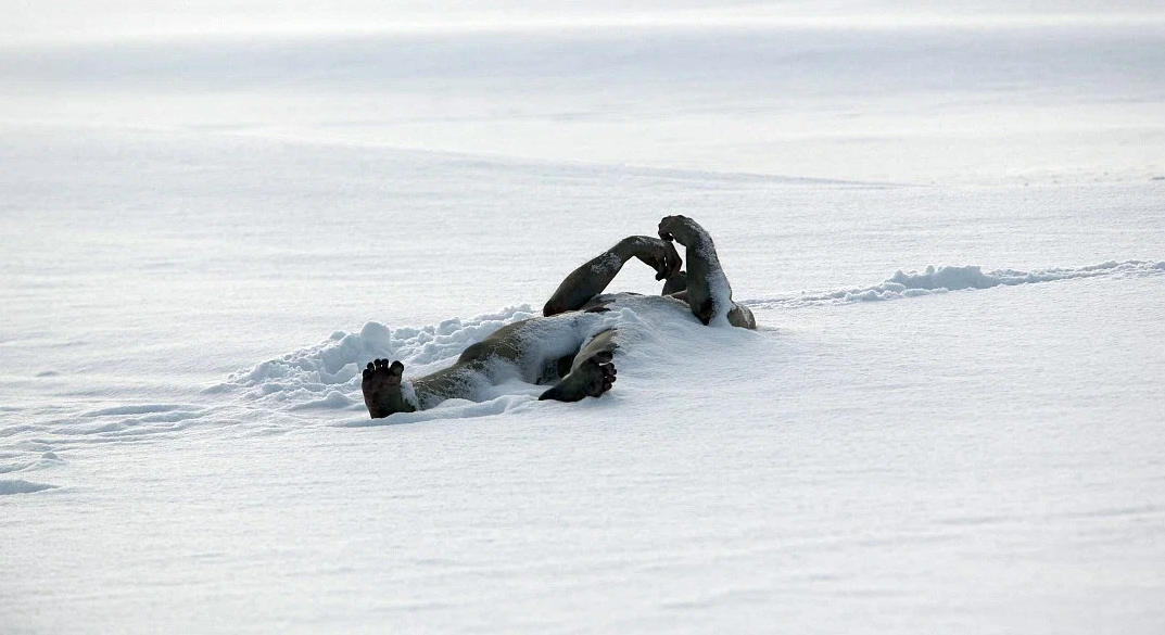 Кадр из фильма «The Last Winter». Режиссер: Ларри Фессенден. Производство: Antidote Films (I), Glass Eye Pix, Zik Zak Filmworks, Zik Zak Kvikmyndir