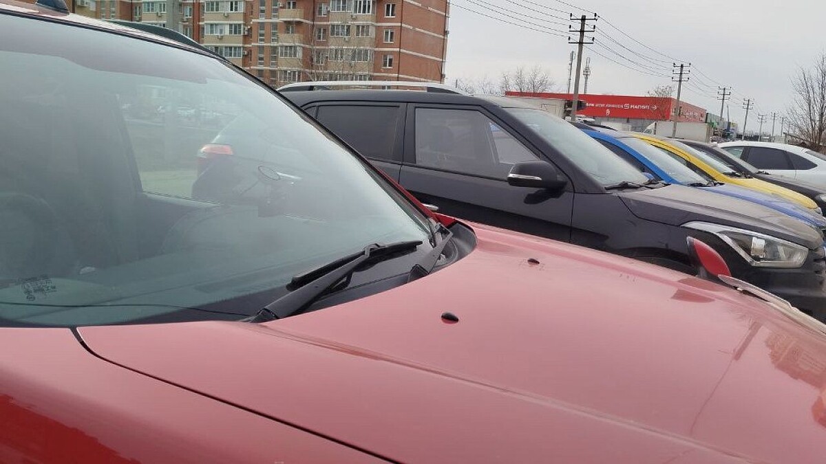    Фото: телеканал "Краснодар"