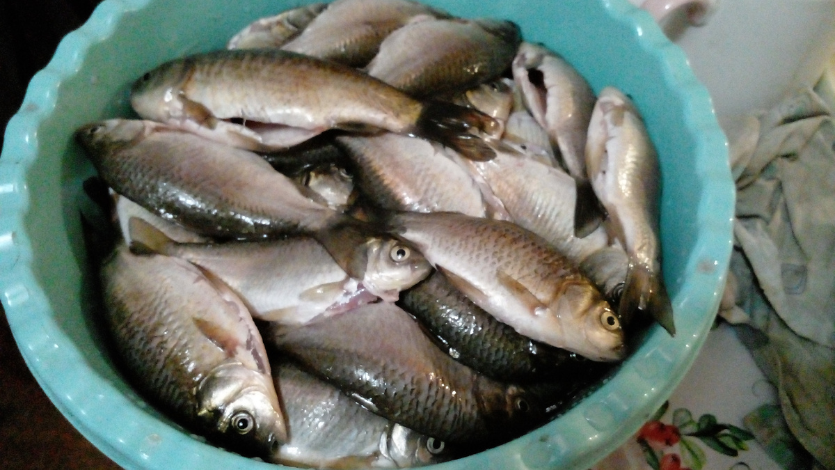 Мисочка с карасями