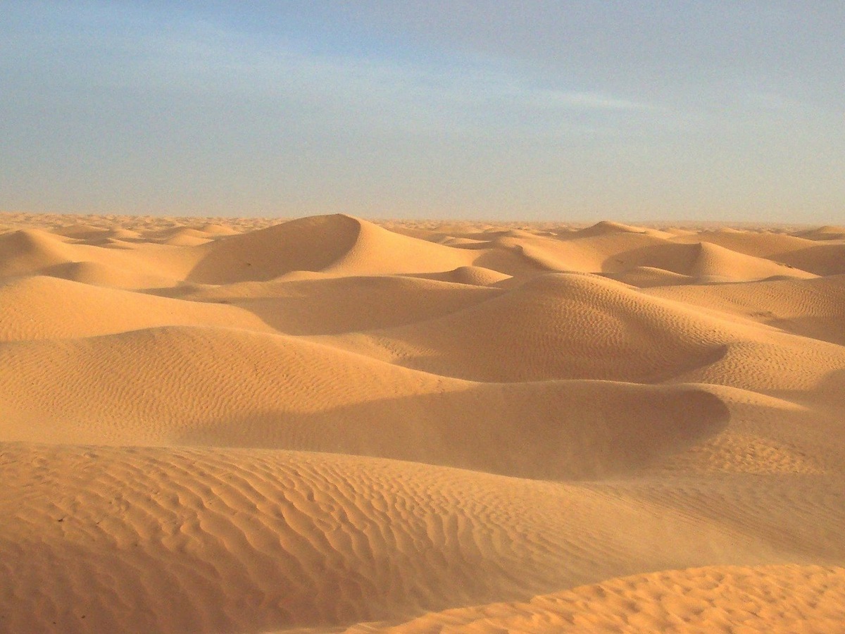 Мы тогда видели именно так))))