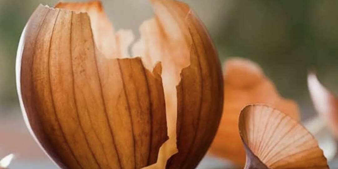 Яичная скорлупа и луковая шелуха в огороде: 10 способов применения