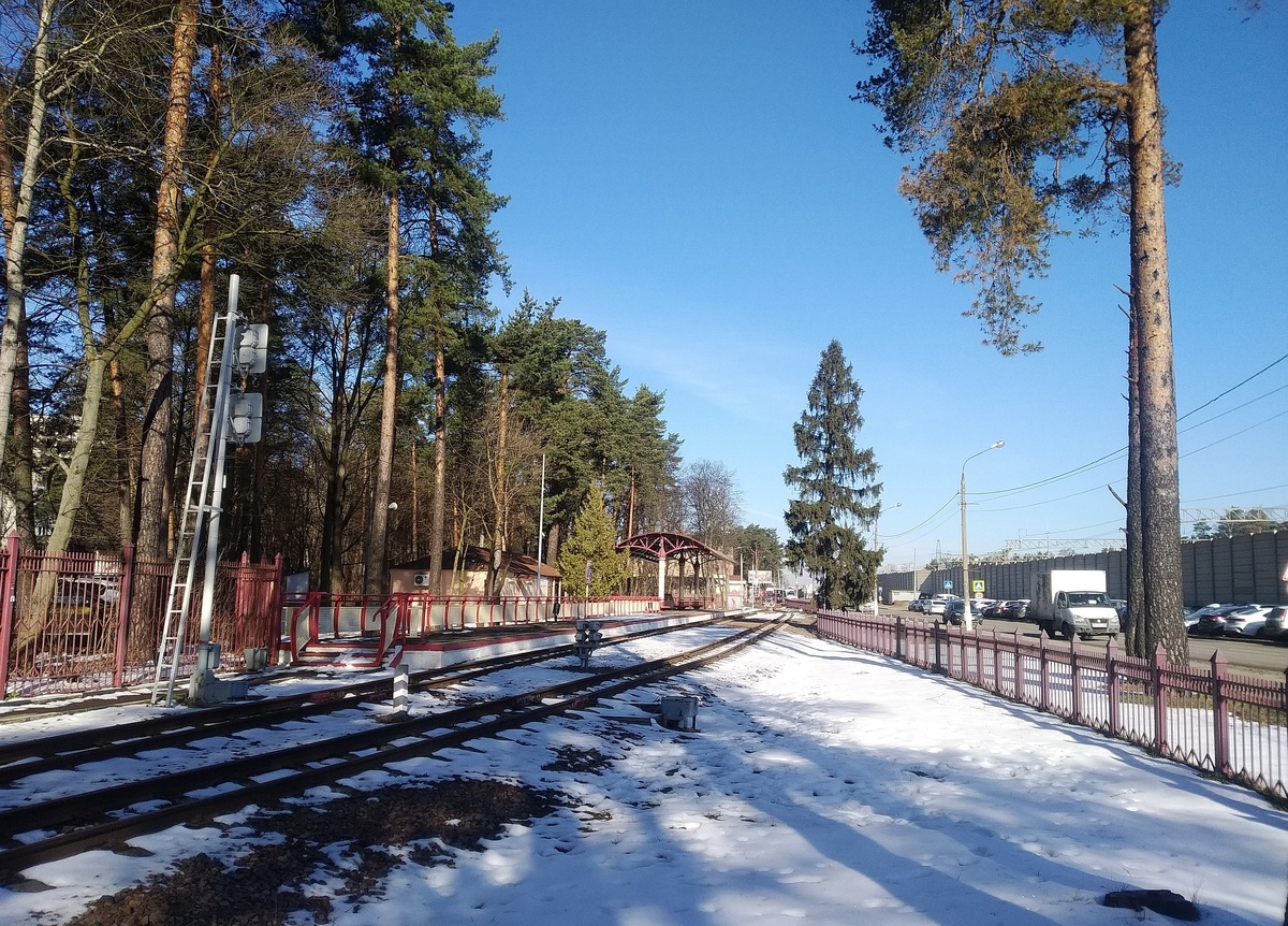 Утренний Жуковский в середине арпеля 2025 года, фото автора