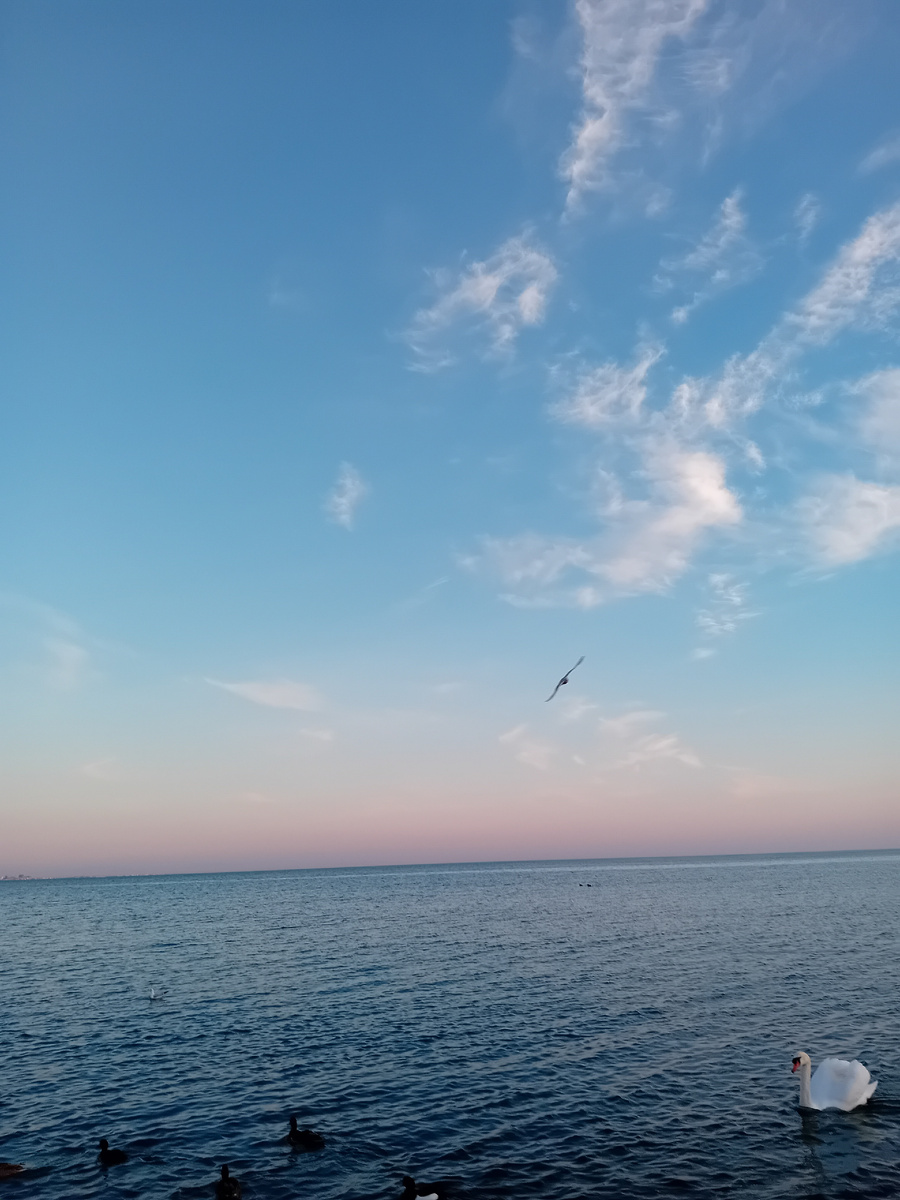 Авторское фото.