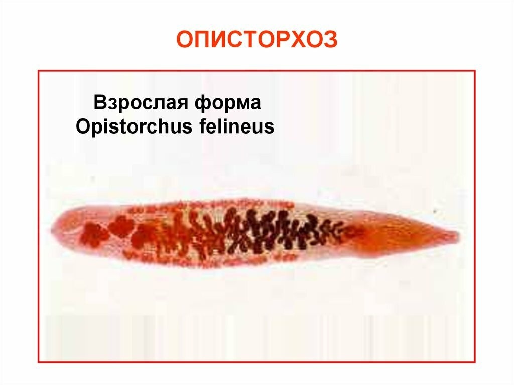 Картинка взята с просторов интернета 