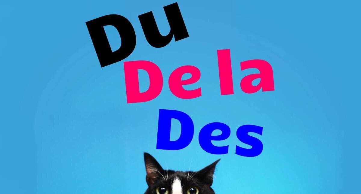 Du, De la, Des | Частичные артикли во французском языке 🇫🇷