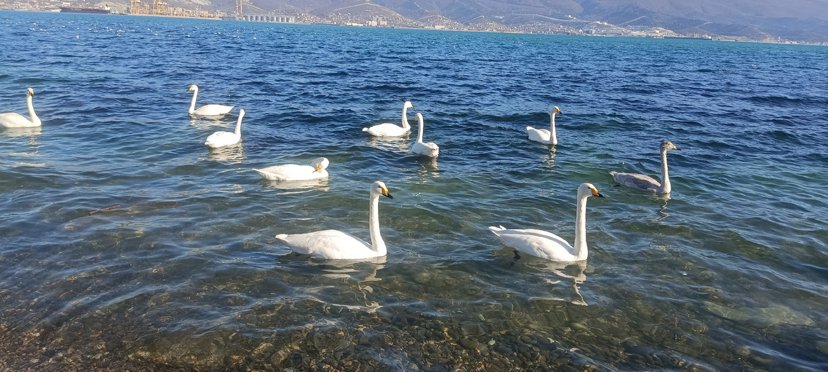 Люблю снимать такую красоту