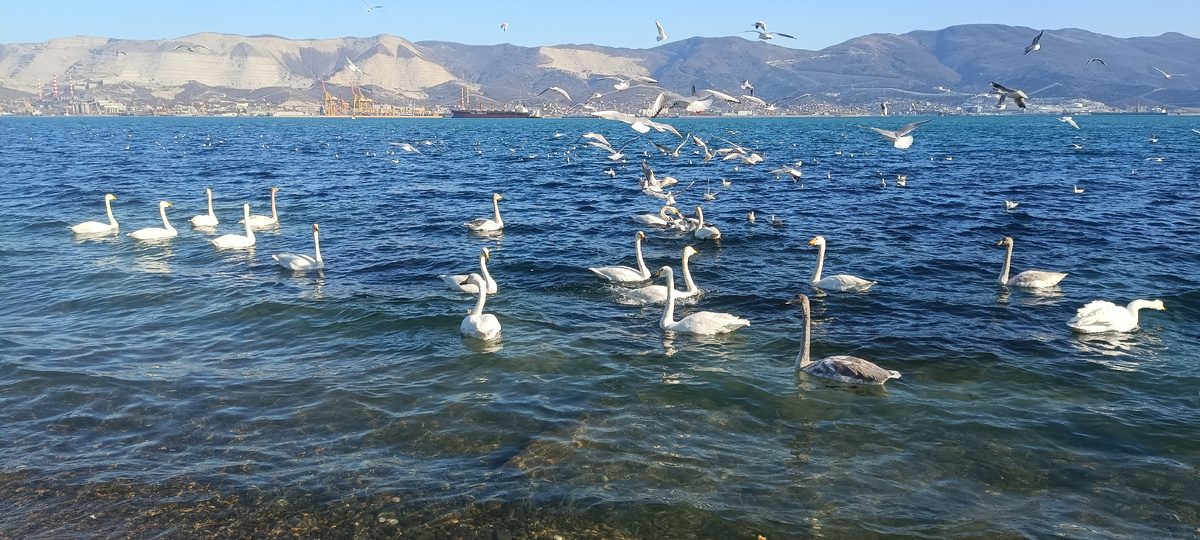 На пляже Нептун в январе